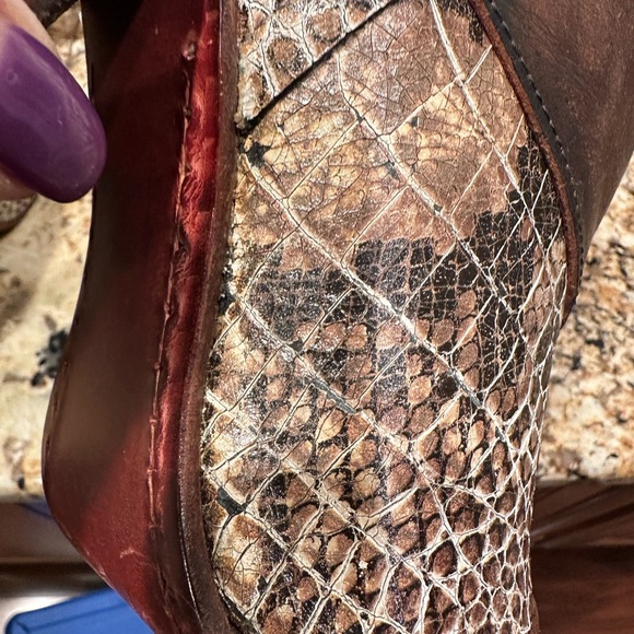 Freebird Joey 9 - Picture 11 of 11